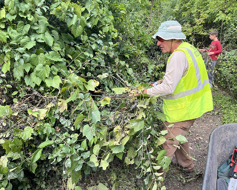 Marty Weigel working